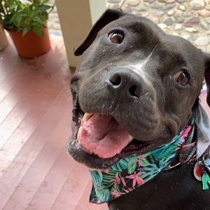 Meet your Posher, Tori